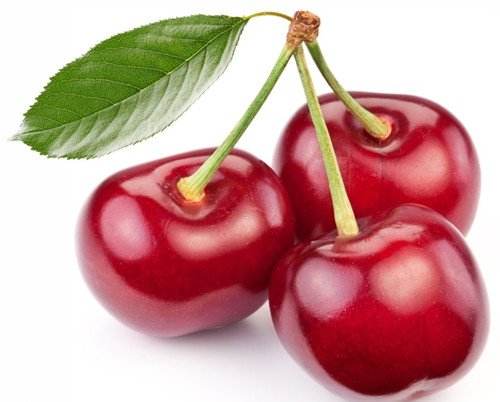 大棚适合种植什么品种樱桃,河北适合种植什么露天樱桃品种