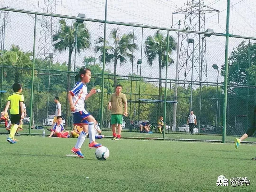 适合遛娃的地方重庆绿色星球,重庆150米神秘花园