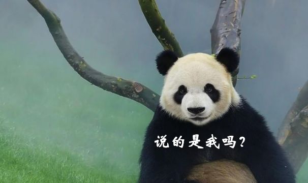 9个日常生活去黑眼圈小妙招,比较严重的黑眼圈怎么处理