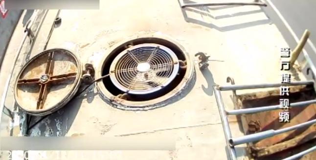 “凿门抬进去的！”重型罐车内传出异响，里面竟藏38头肥猪