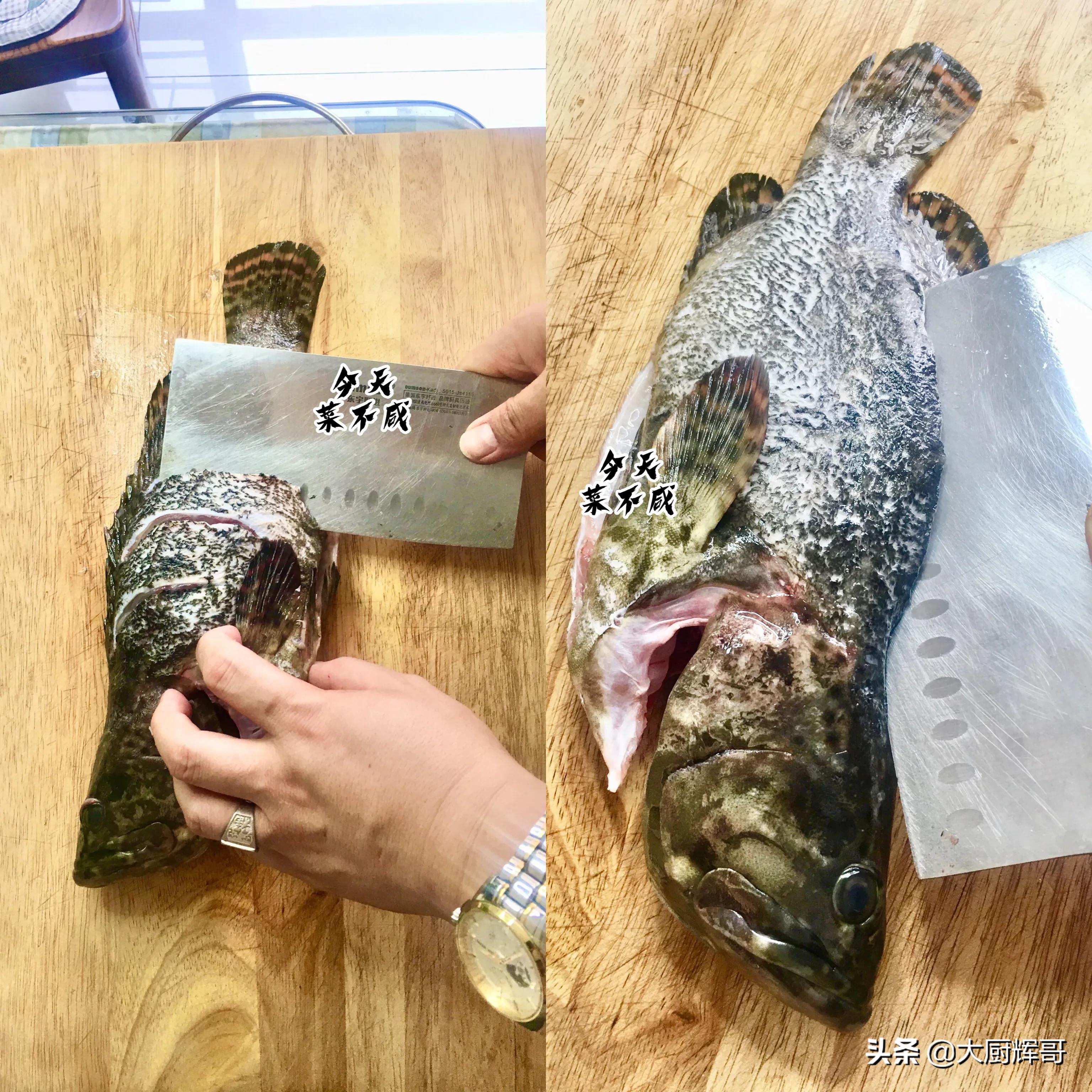 清蒸鱼正宗做法视频教程,清蒸鱼正确的做法窍门