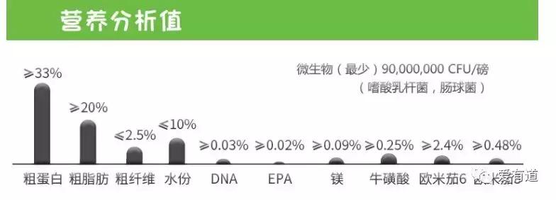 毛孩子偷吃东西被发现,毛孩子吃东西被发现了