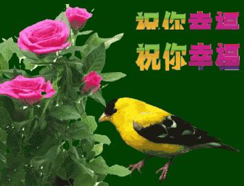 早上好祝福你新的一年开心快乐,早上好愿你晨起有微笑