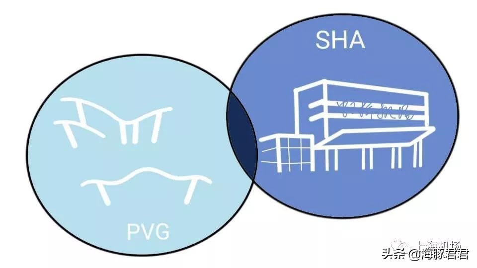 上海免税店购物最新政策,上海机场新的免税店政策
