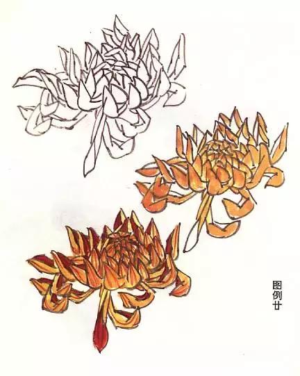 胡玉德菊花国画技法步骤,菊花叶子国画教程