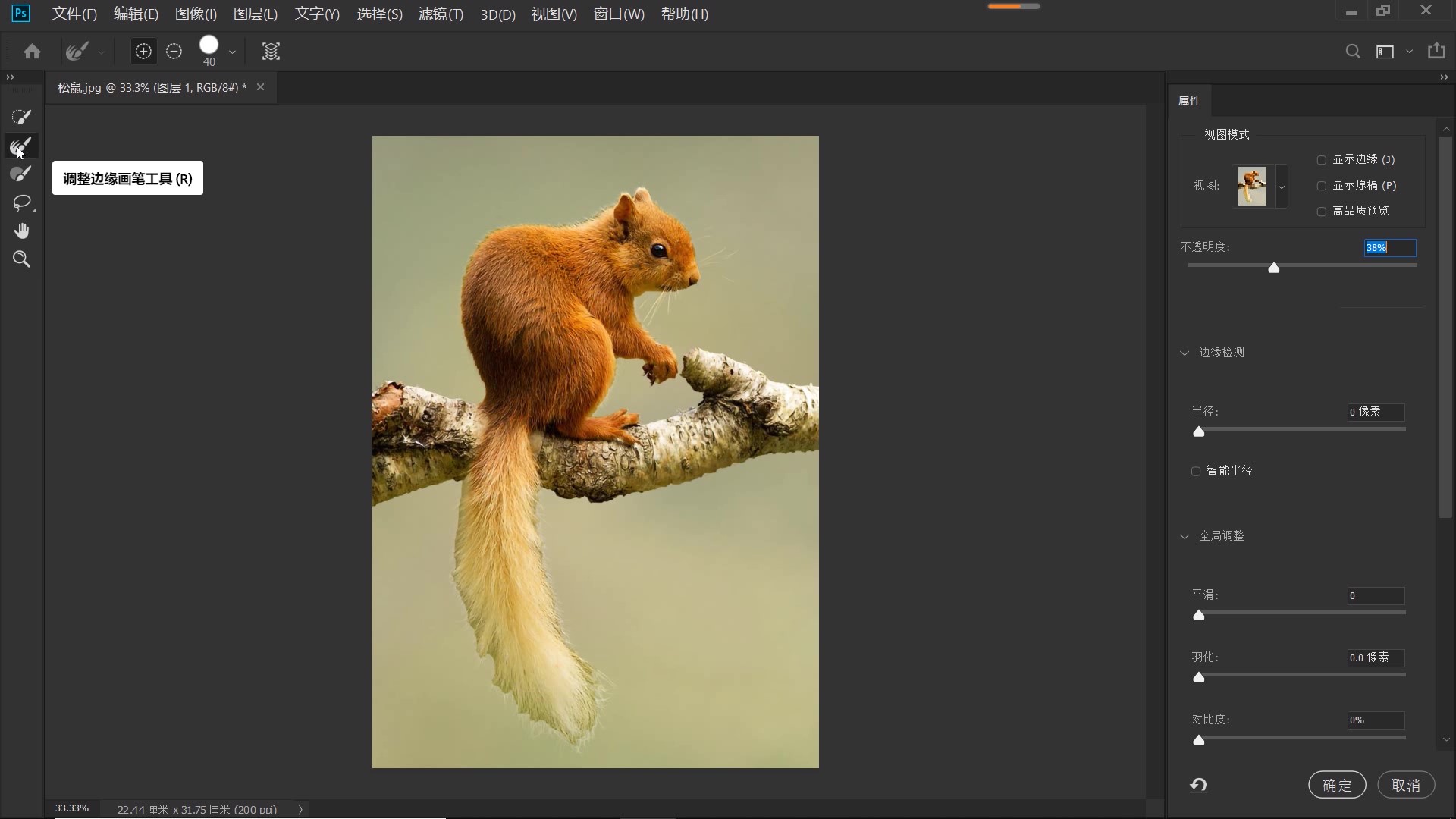 ps抠图动物最快又完整的方法,ps抠图教程动物毛发新手