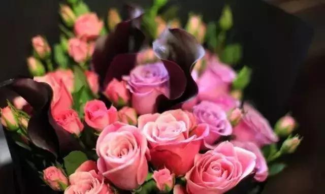 100种玫瑰品种图鉴大全,100种玫瑰品种图解