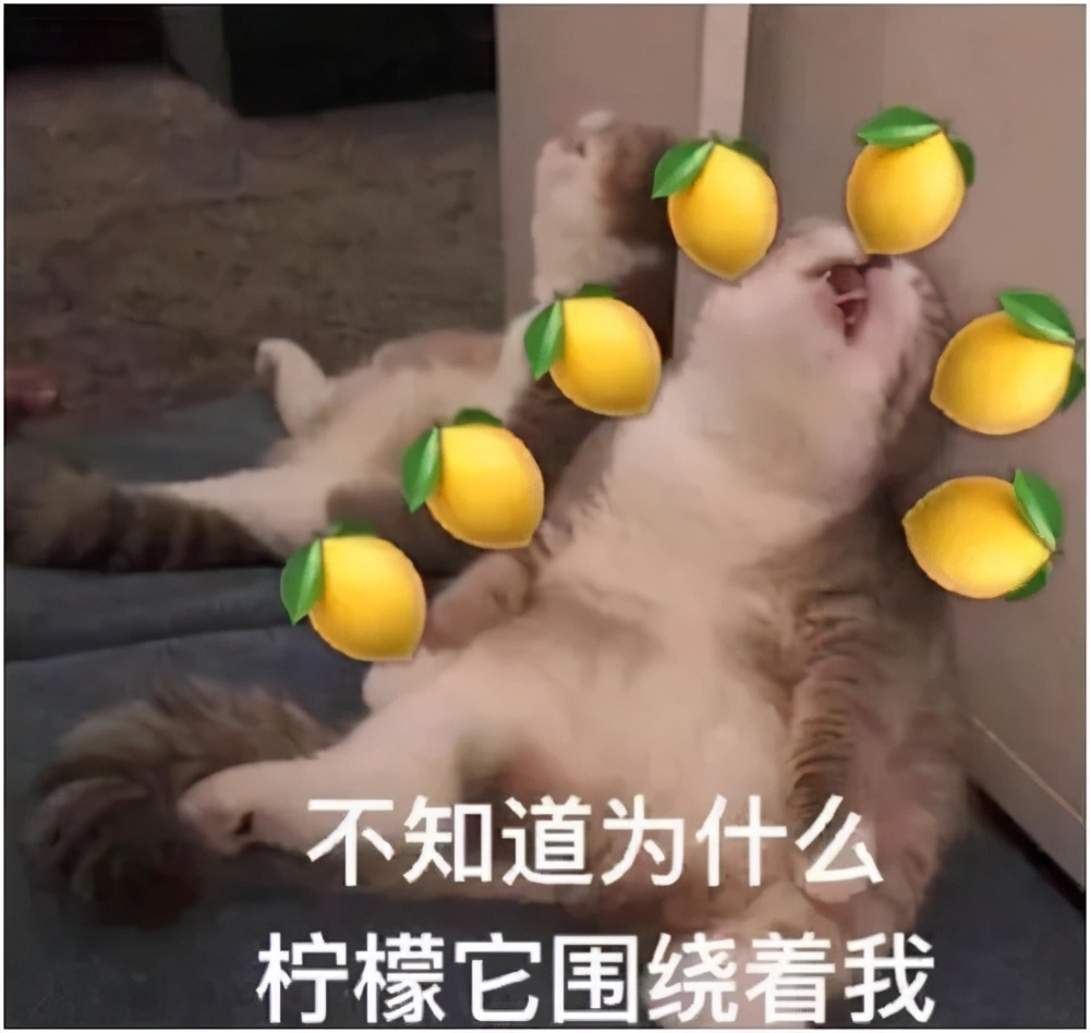 在中国捡到陨石上交会得到什么,捡到陨石可以不上交国家