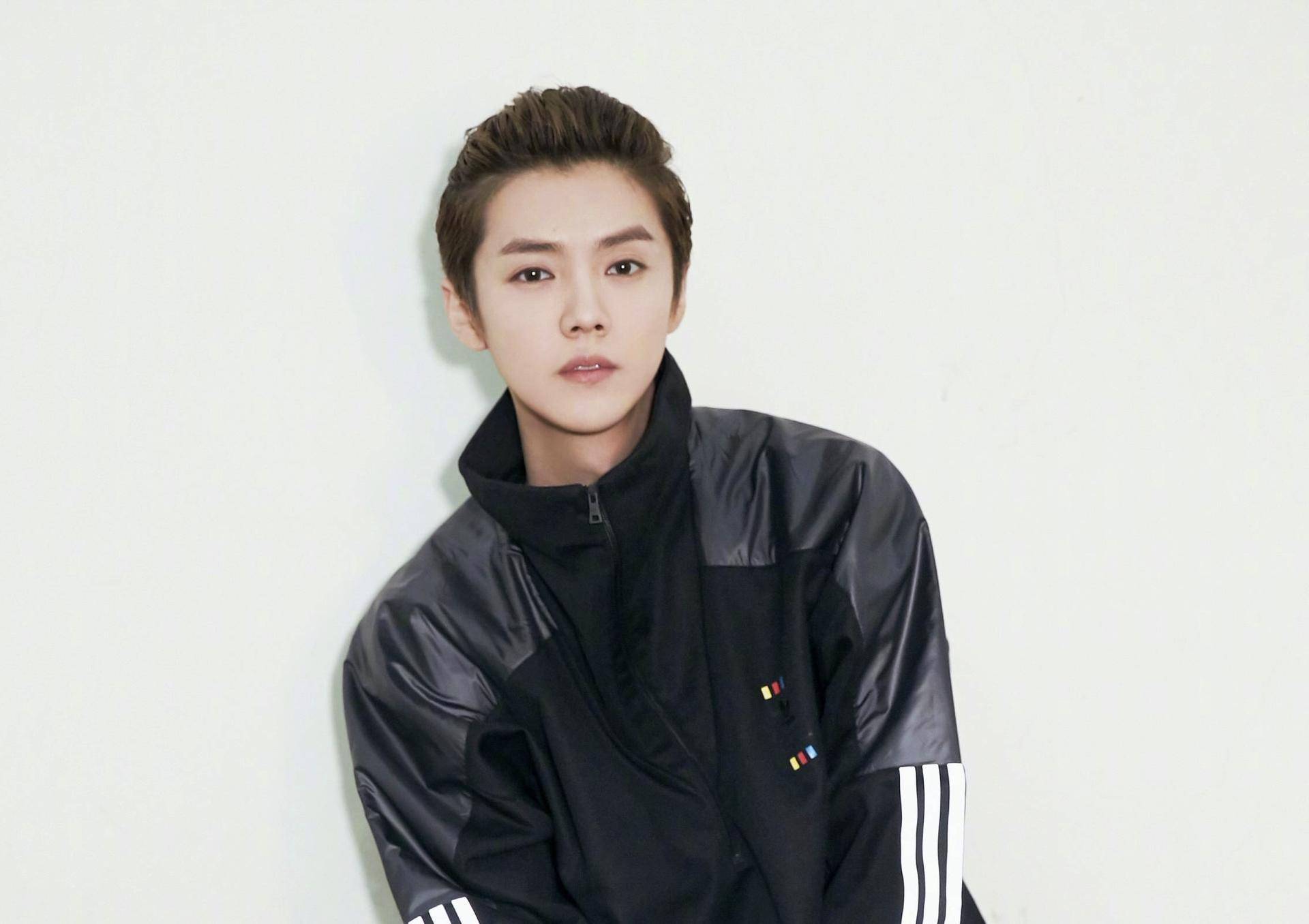 鹿晗所有座驾,鹿晗现在的豪车