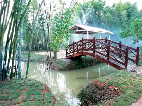 南宁隐藏的景点,南宁周边农家乐游玩景点推荐