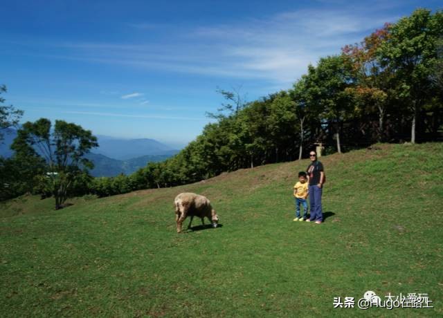 十位亲子旅行达人来告诉你，我们为什么要这样带孩子去旅行