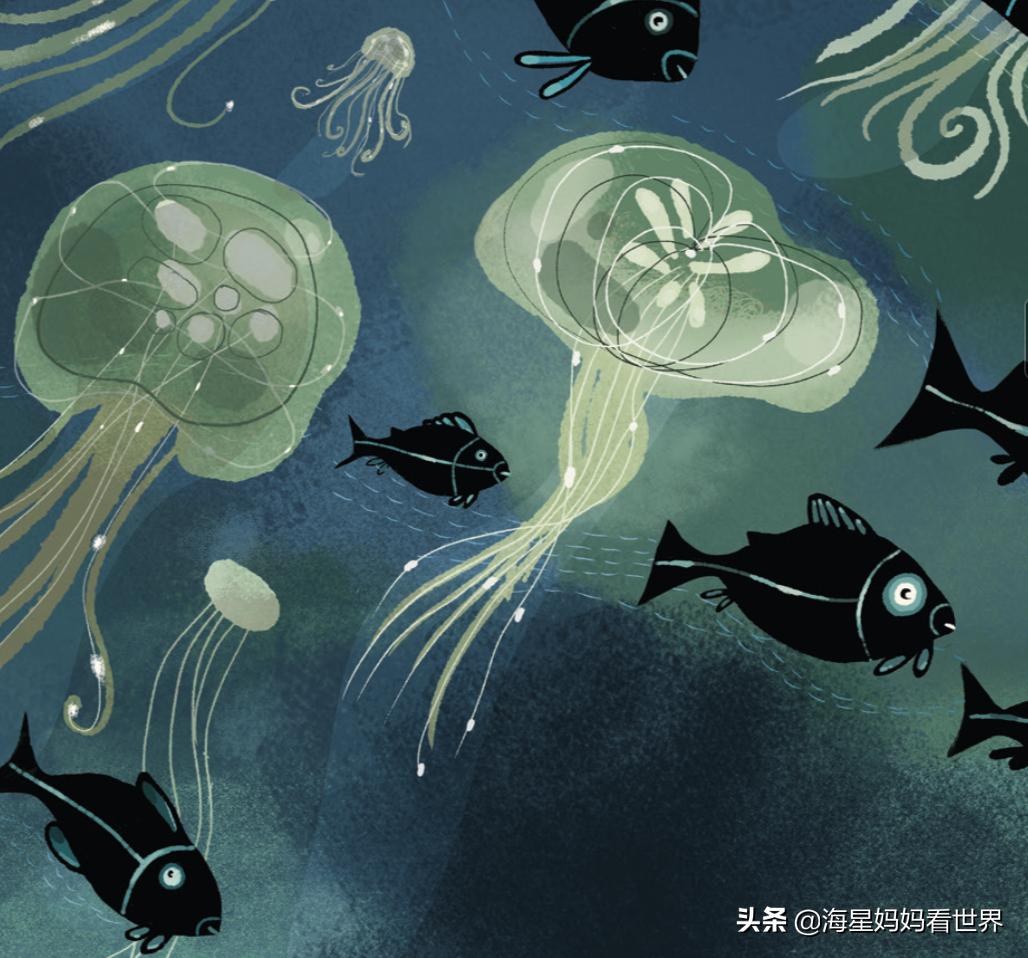 提高3-6岁孩子想象力的绘本,让孩子提升想象力的书