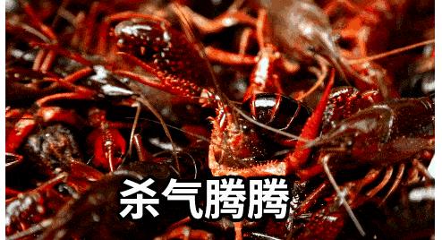在被摆上餐桌之前，小龙虾也曾让世界人民倍感绝望（菲李漫画）