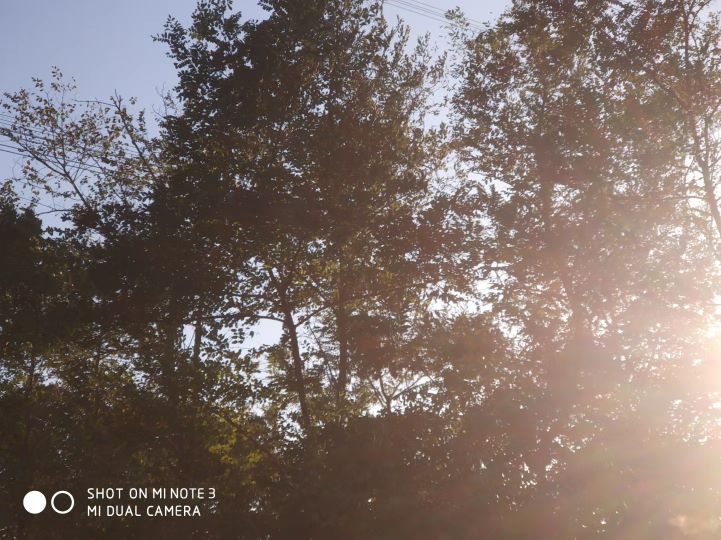 大连长兴岛长城,大连长城4s店