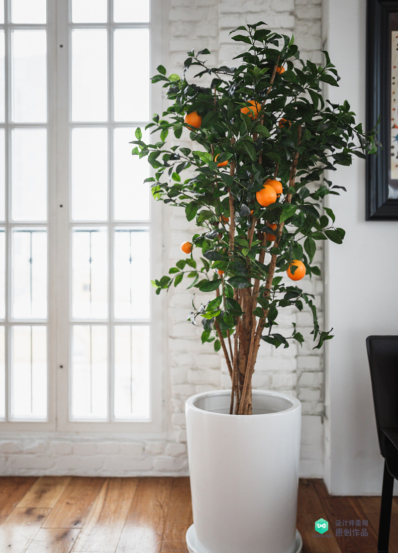 院子适合种的花和设计,庭院设计植物大全