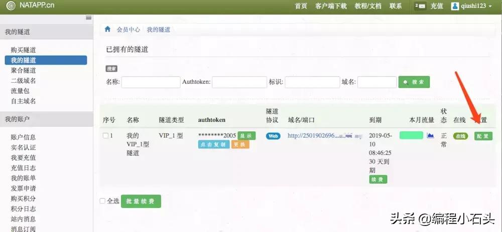 内网穿透服务器搭建教程,低成本搭建内网穿透服务器