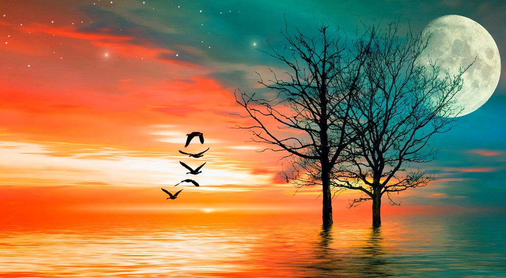 拼多多无货源电商平台如何运营,拼多多无货源电商怎么运营起来