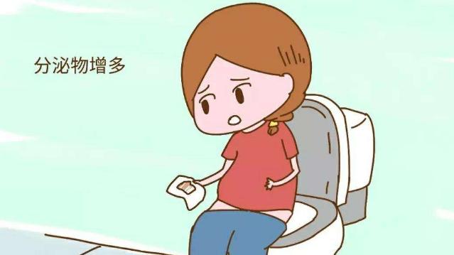 月经周期42天怎么计算排卵期,计算安全期和排卵期计算器