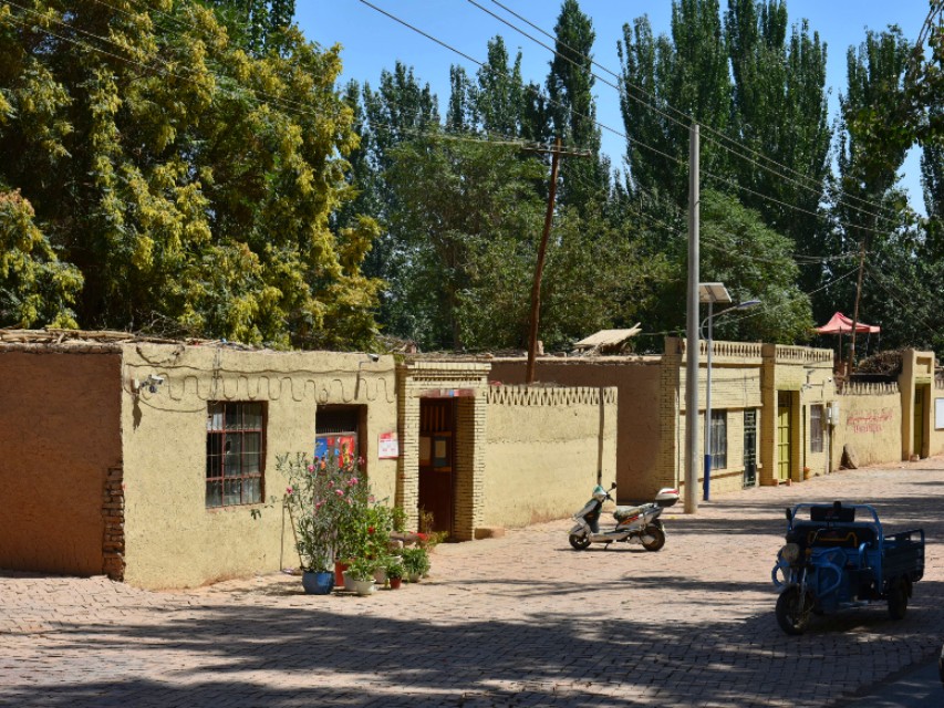 想吃葡萄一不留心掉海底了