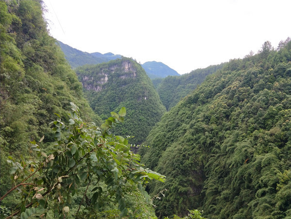 彭水阿依河旅游路线,重庆彭水阿依河漂流双人行攻略