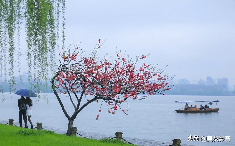 精选清明寒食古诗二十首,寒食清明诗句大全