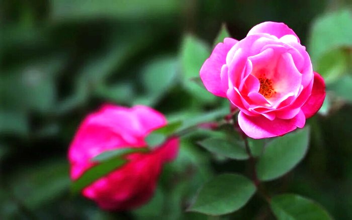 人生经典句子句句正能量走心励志,走心励志短句激励人心正能量文案