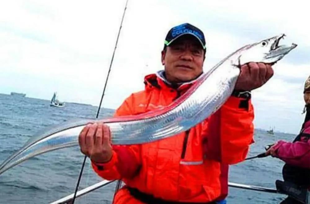 带鱼为什么成为中国最平民的海鲜,真正深海里的带鱼