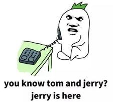 迪拜朴实无华且枯燥的生活,关于迪拜生活