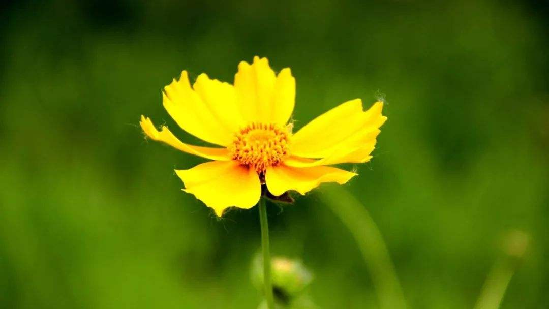 人品很重要也是好运气,人品好总有好运气