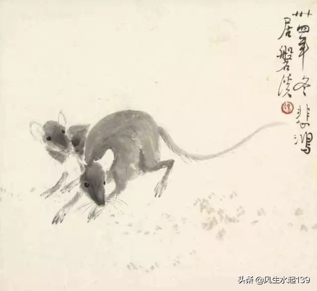 属鼠的人2024年的运势及运程,属鼠的人2024年以后的运势及运程