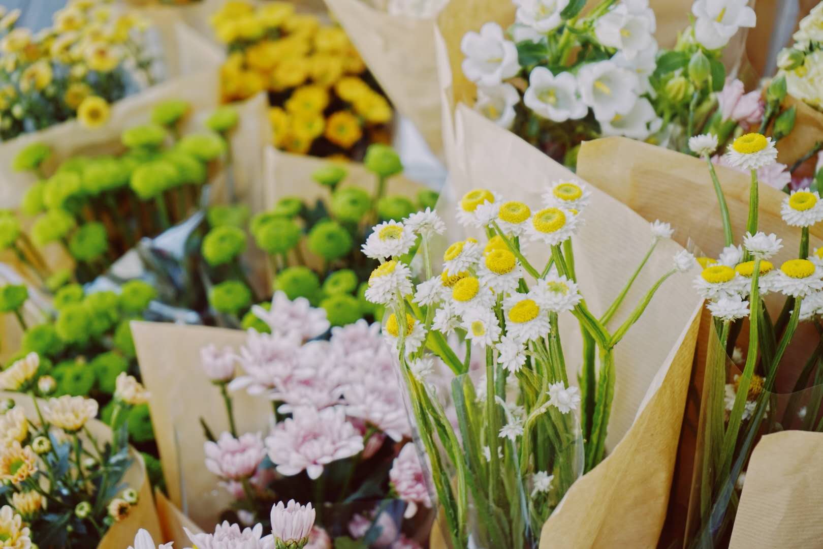 厦门鲜花花市,花市厦门