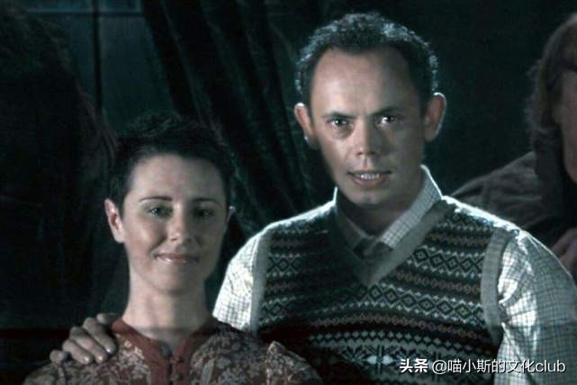 哈利波特母亲的爱,哈利波特里的妈妈们