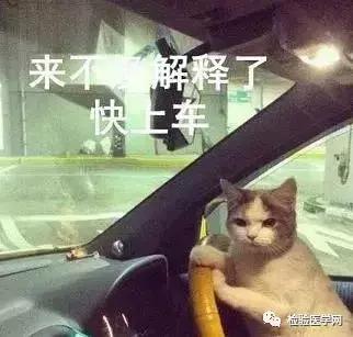 当备孕遇上HPV，怎么办？