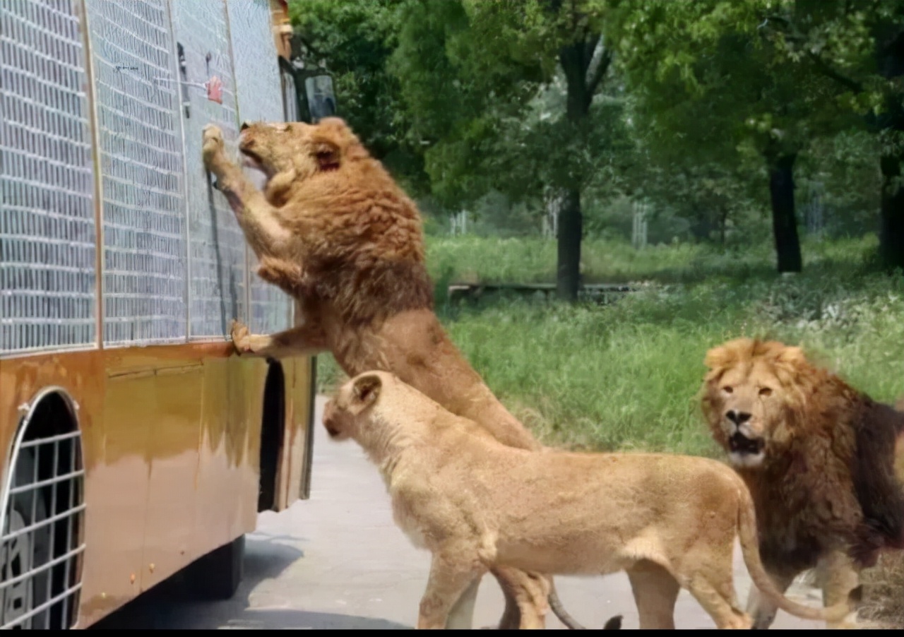 上海十个值得去的地方,上海最值得去的十大地方不花钱
