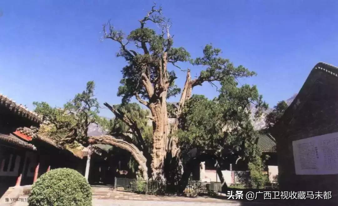 春节是否被韩国申遗成功,韩国说筷子申遗成功了吗