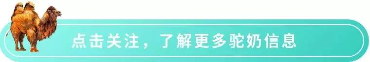 驼奶能买到吗最新消息,为啥说驼奶不能买