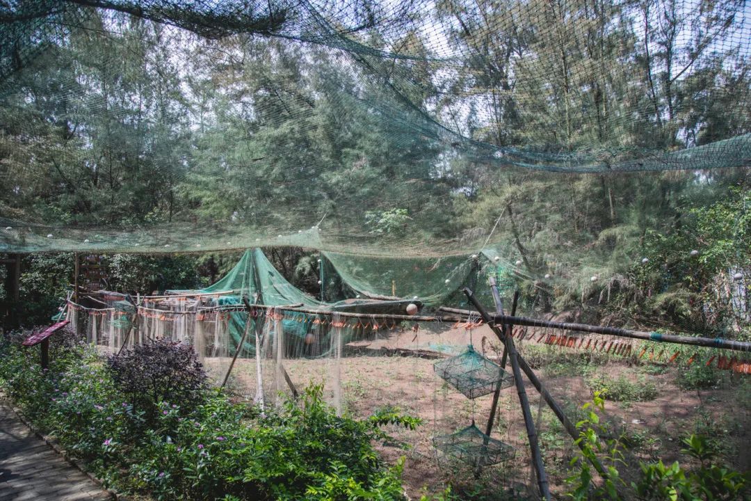 银海风景,银海美景