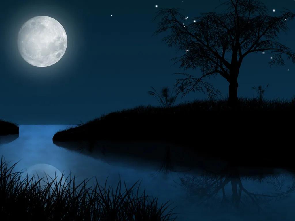 盘点哪些好听的纯音乐,现在有哪些好听的纯音乐