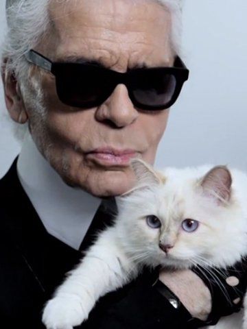 哪些动物大富大贵,那些富豪都是怎么发家致富的