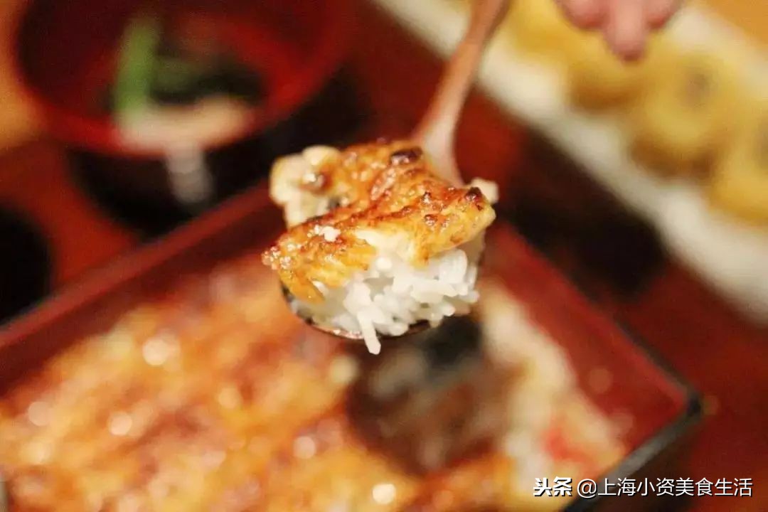 大锦鲤top店,大锦鲤适合吃的鱼食