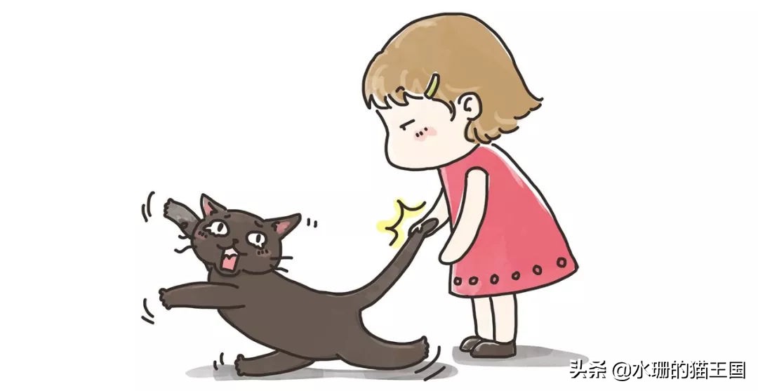 猫咪尾巴被绳子缠住以后尾巴下垂,千万别拽猫尾巴
