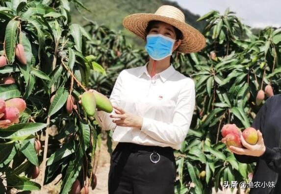 越南水果如何进口中国,越南水果出口中国种类最多