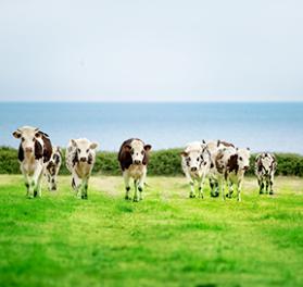 贝塔星奶粉4段推荐吗,宝宝奶粉前十名有哪些奶粉