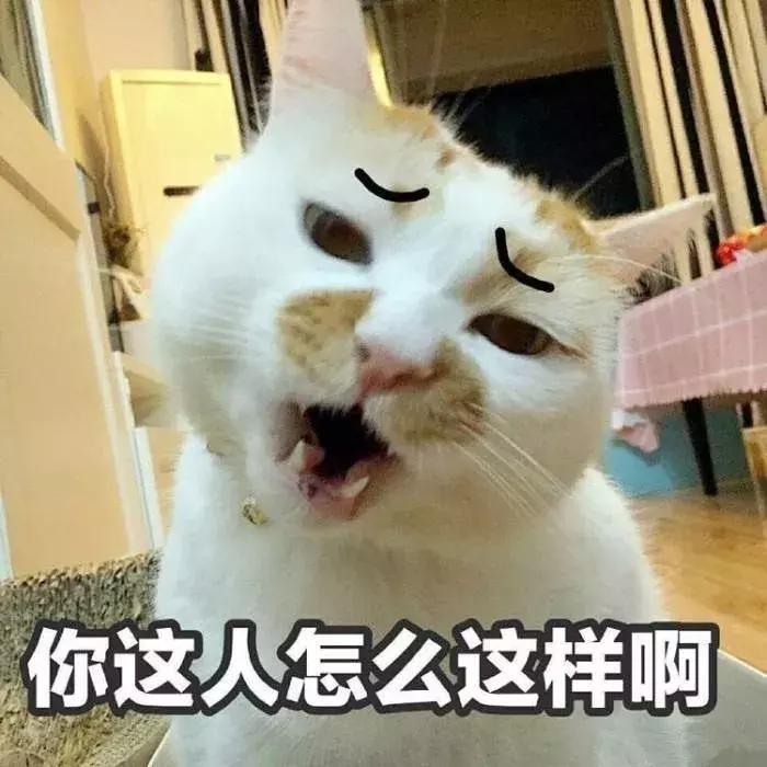 那些年失误的喵星人铲屎官已笑疯,喵星人的厉害行为报复铲屎官