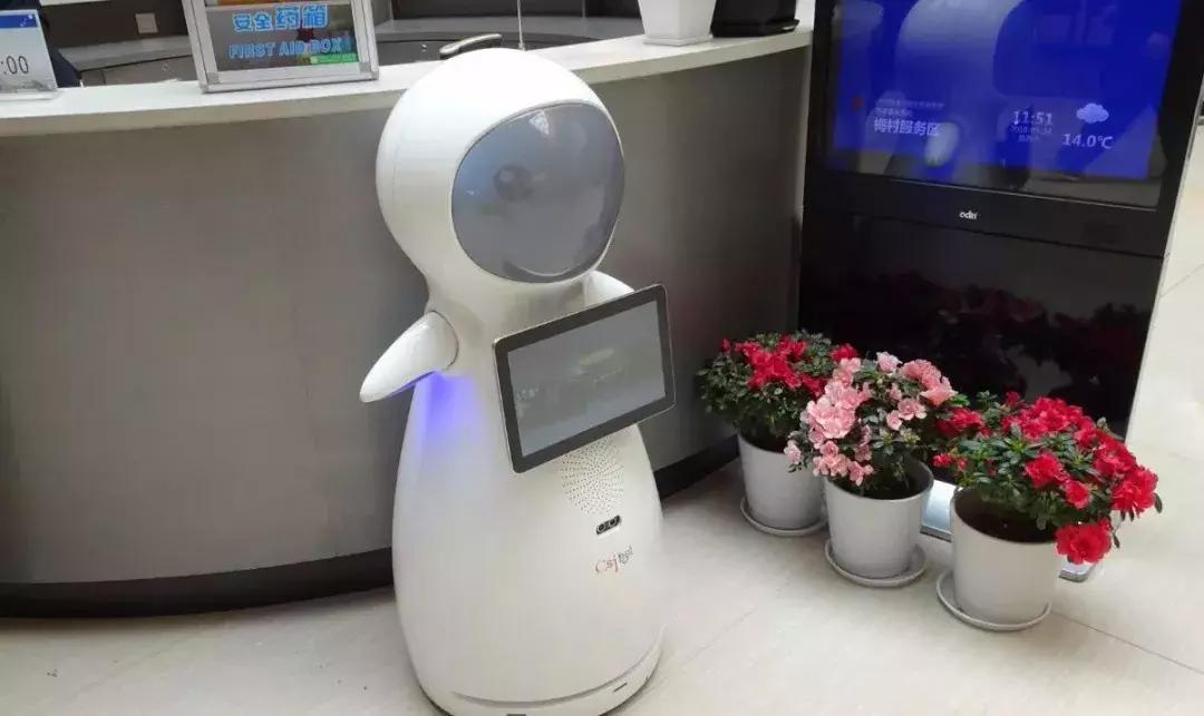 服务区夜间女性专用停车位是什么,无锡市政府开放停车位