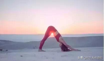 每天做下犬式的好处,下犬式的好处