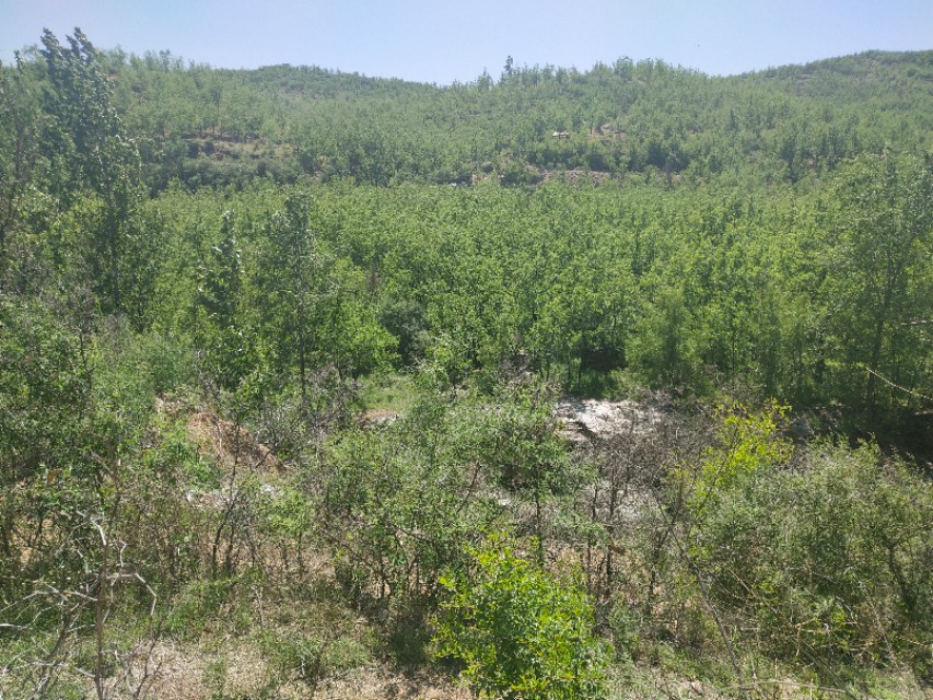 山东鲁家峪自然风景,鲁家峪泉水景点