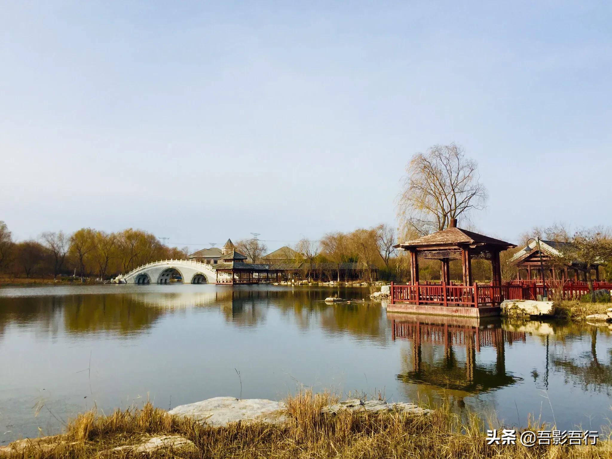 武清津北森林公园有哪些景色,天津武清森林公园开放时间表