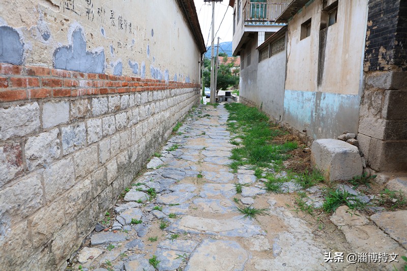 瑙︽懜涔℃剚鍙よ瘲鍥剧墖,瑙︽懜涔℃剚