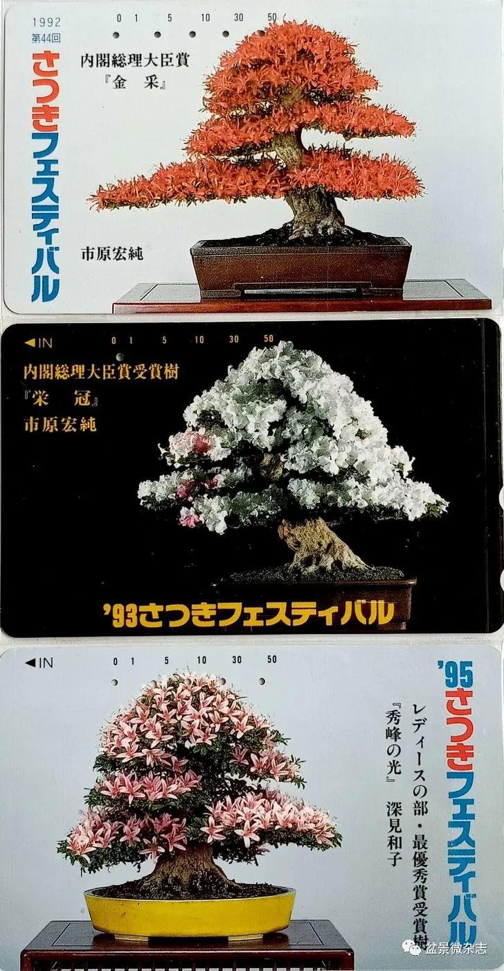 鐩嗘櫙鑱旂郴鐢佃瘽,鐩嗘櫙鑱旂郴鐢佃瘽鍙风爜